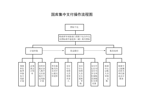 国库集中支付流程图