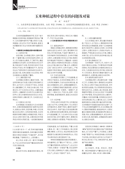 玉米种植过程中存在的问题及对策