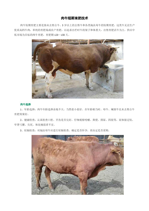 肉牛短期育肥技术