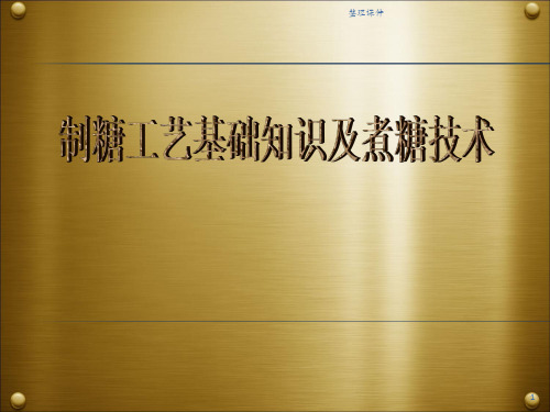 制糖工艺基础知识及煮糖技术上课