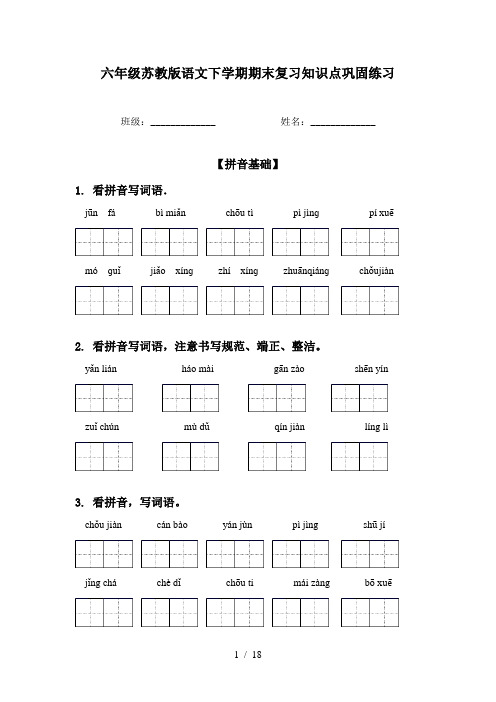 六年级苏教版语文下学期期末复习知识点巩固练习