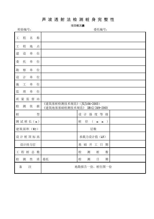 声波检测现场记录表