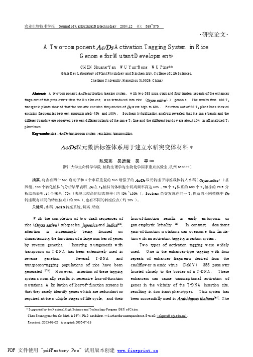 AcDs双元激活标签体系用于建立水稻突变体材料