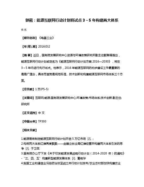 郭熊：能源互联网行动计划将试点3～5年构建两大体系