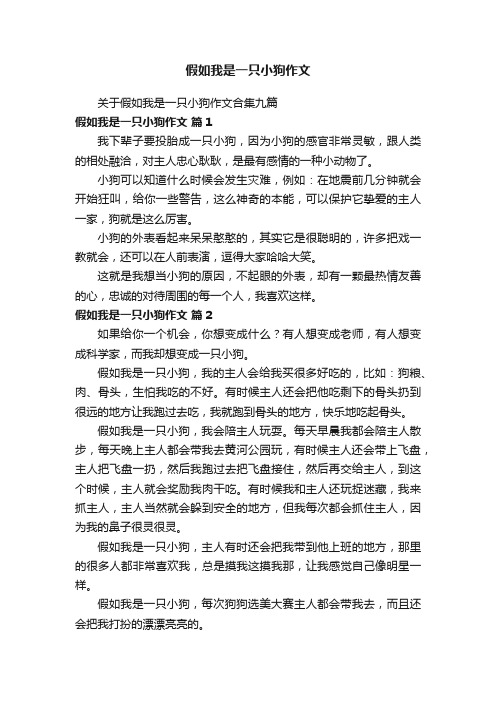 关于假如我是一只小狗作文合集九篇