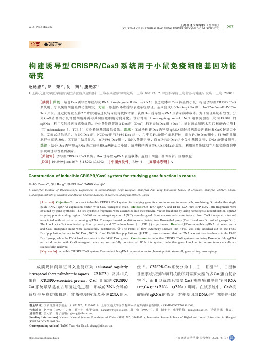 构建诱导型CRISPRCas9系统用于小鼠免疫细胞基因功能研究