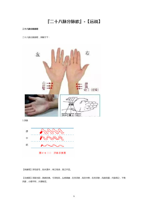 『二十八脉分脉歌』-【远说】