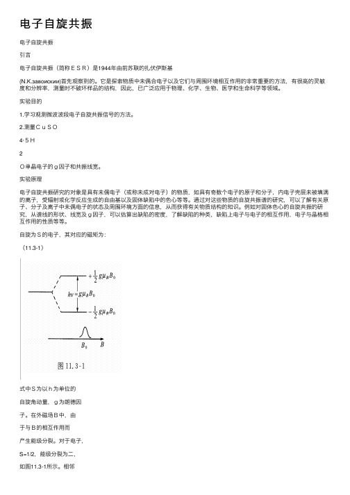 电子自旋共振