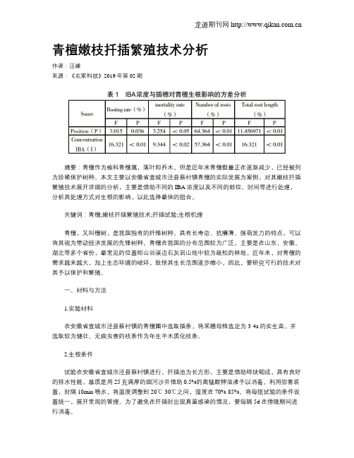 青檀嫩枝扦插繁殖技术分析