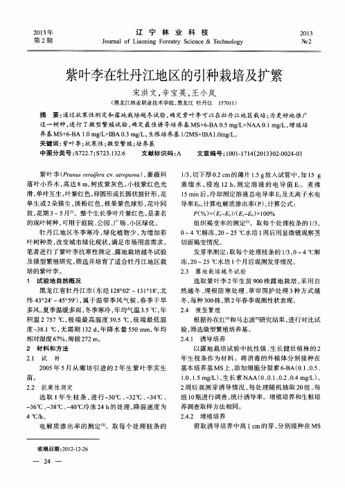 紫叶李在牡丹江地区的引种栽培及扩繁