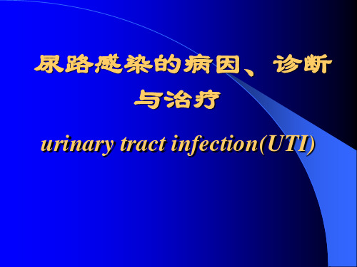 尿路感染的病因、诊断与治疗