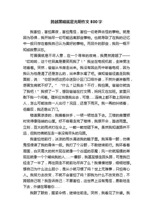 跨越黑暗就是光明作文800字