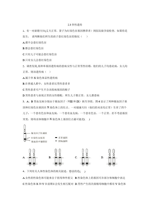 2019-2020学年高中生物人教版(2019)必修二同步学典：2.3伴性遗传 Word版含答案