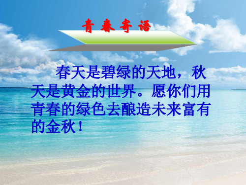 七年级数学《特殊三角形》复习课件