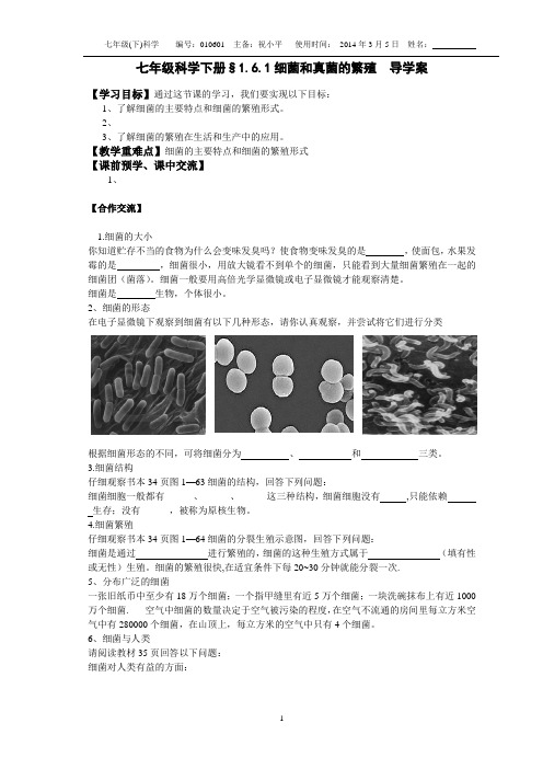 平哥新浙教版七年级科学下册§1.6.1细菌和真菌的繁殖