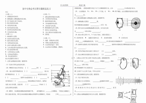 初中生物会考复习识图部分