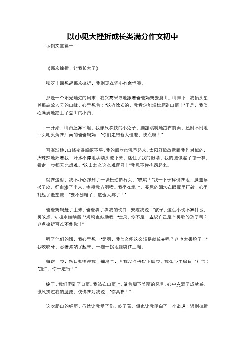 以小见大挫折成长类满分作文初中