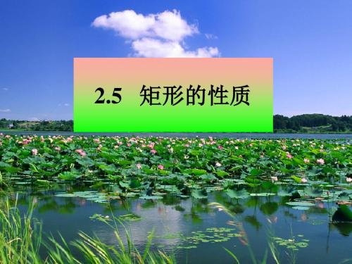 八年级下册 第2章 2.5 矩形的性质