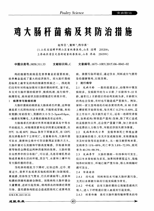 鸡大肠杆菌病及其防治措施