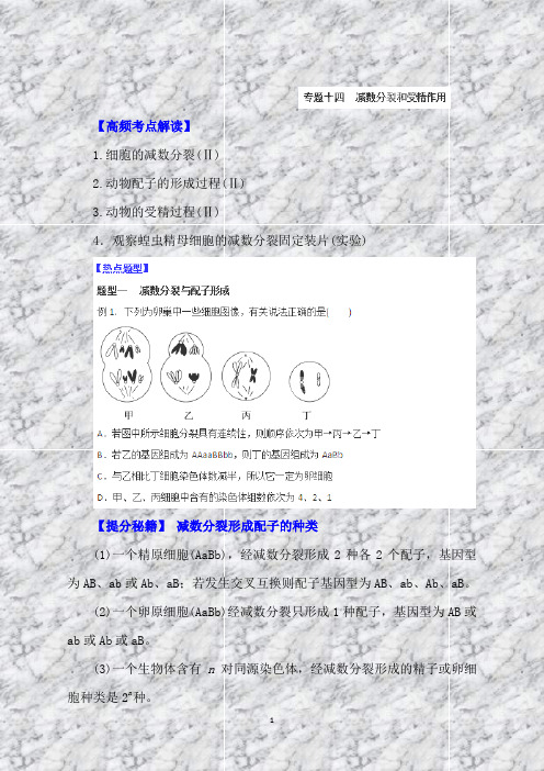 高考生物热点冲刺：专题14减数分裂和受精作用(学生版)