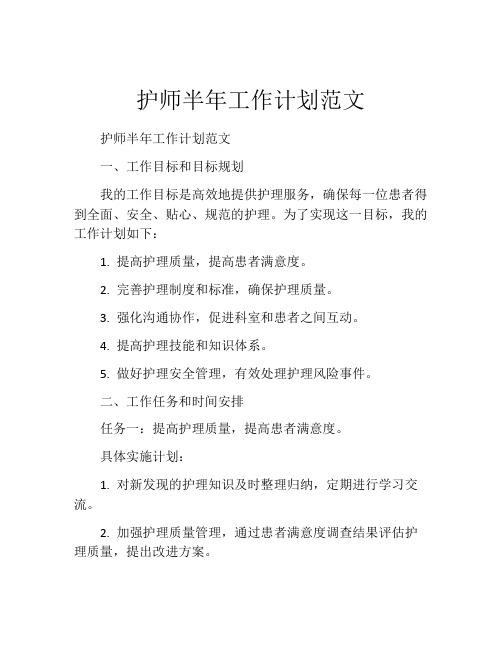 护师半年工作计划范文