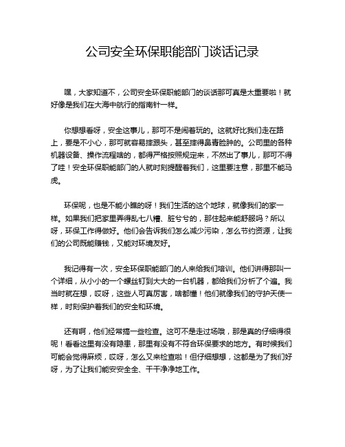 公司安全环保职能部门谈话记录