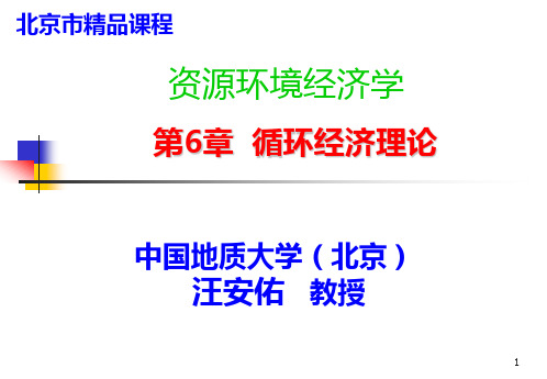 中国地质资源环境经济学课程课件之6.循环经济理论