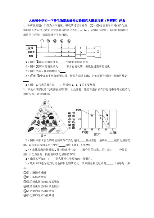 人教版中学初一下册生物期末解答实验探究大题复习题(附解析)经典