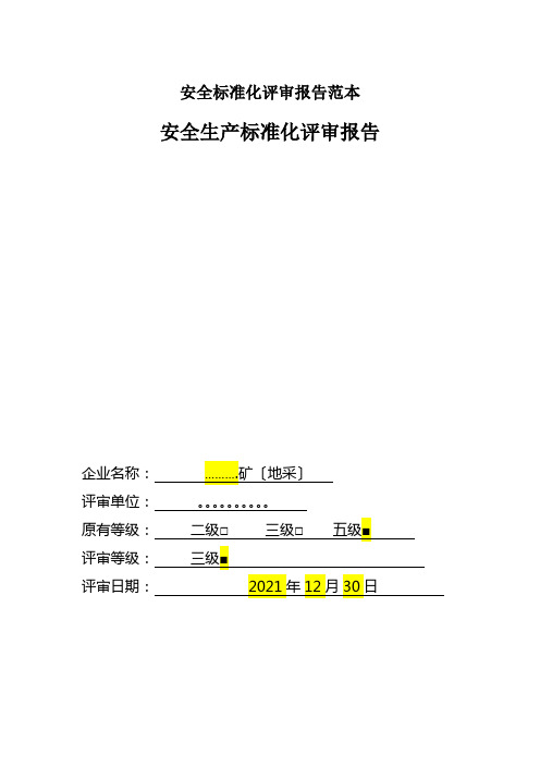 安全标准化评审报告范本