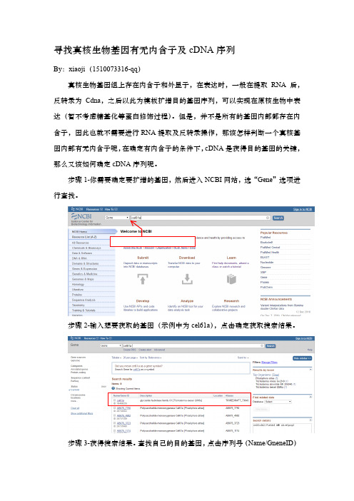 寻找真核生物基因有无内含子及cDNA序列