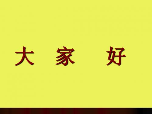 (080710)市综治培训讲课提纲