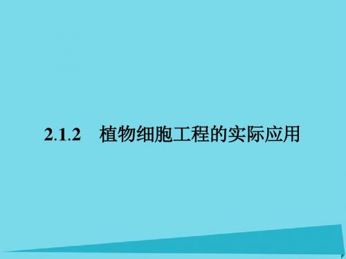 高中生物2.1.2植物细胞工程的实际应用课件新人教选修3(3)