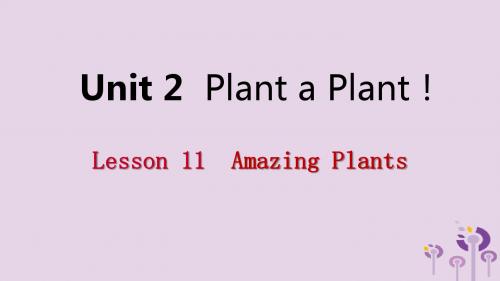 2019年春八年级英语下册Unit2PlantaPlantLesson11AmazingPlants课件(新版)冀教版