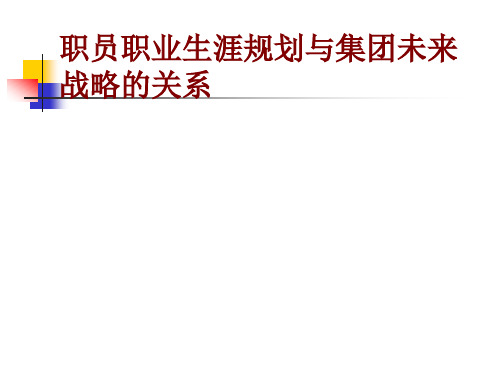 个人的职业生涯和企业未来发展战略的关系.pptx