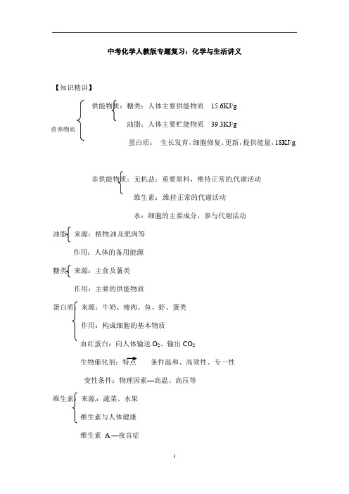 (名师整理)最新化学中考专题复习《化学与生活》考点精讲精品讲义