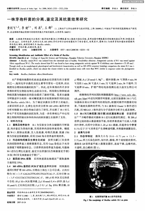 一株芽孢杆菌的分离、鉴定及其抗菌效果研究