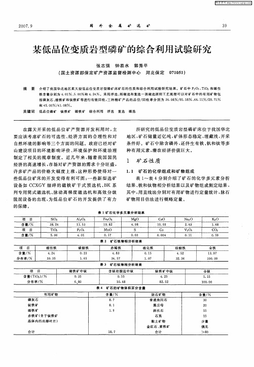 某低品位变质岩型磷矿的综合利用试验研究