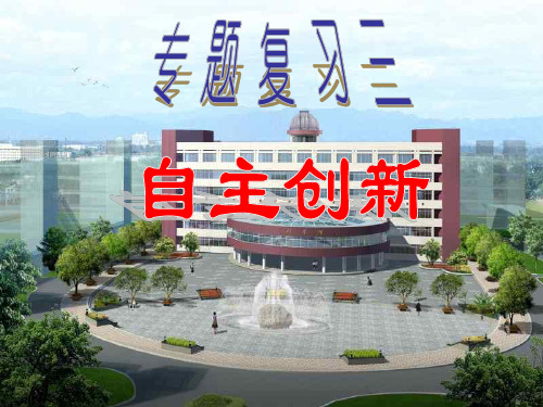 建设创新型国家.ppt