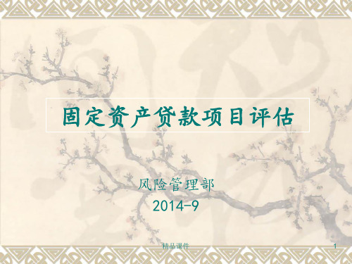 固定资产贷款项目评估2014.9