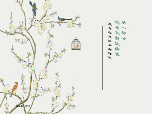 烟草病虫害及缺素症图谱