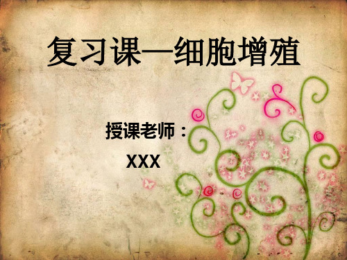 公开课《复习课—细胞增殖》
