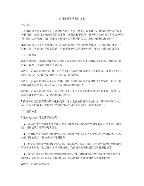 公司运营专项整治方案