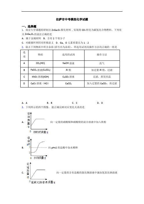 拉萨市中考模拟化学试题