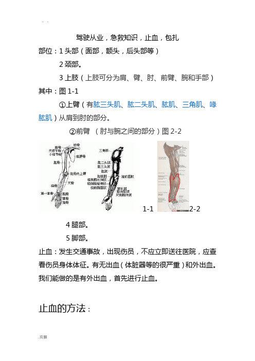 驾驶从业资格证-急救知识-止血-包扎