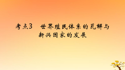 高考历史一轮专题十二考点3世界殖民体系的瓦解与新兴国家的发展基础知识