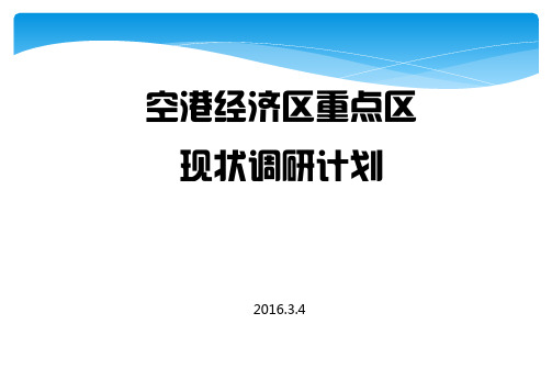 XX空港经济区重点开发区域现状调研计划