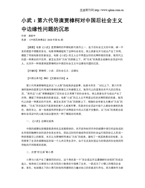 小武：第六代导演贾樟柯对中国后社会主义中边缘性问题的沉思