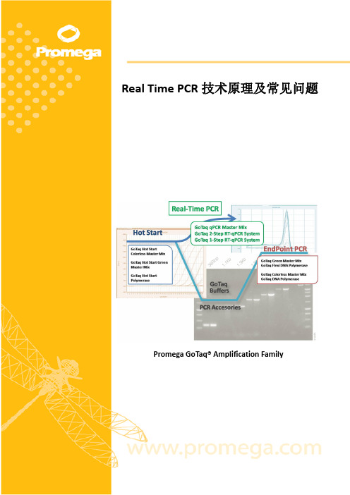 Real Time PCR技术原理及常见问题