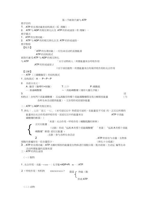 高三生物教案：2、新陈代谢与ATP