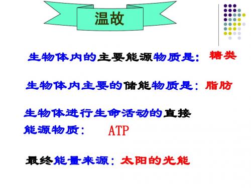 生物：5.4hao《能量之源——光与光合作用》课件(新人教版必修1)